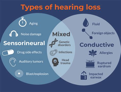 Hearing Loss Types Learn About Sensorineural Conductive And Mixed