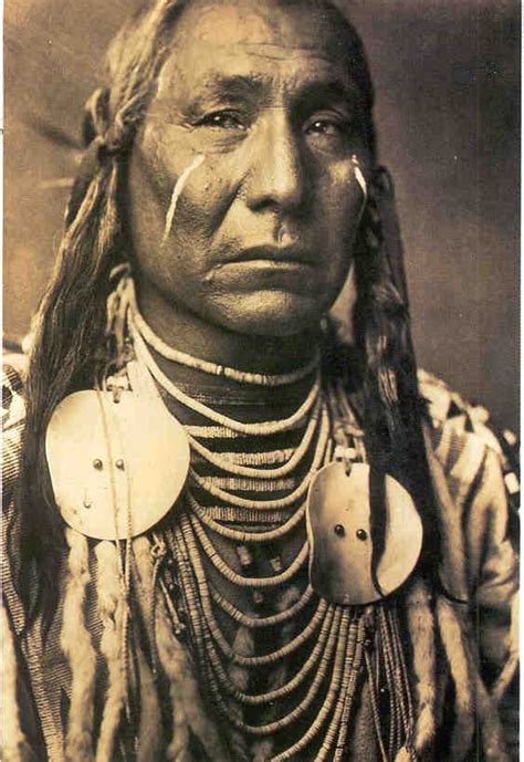 Red Wing Lakota Sioux Los Siouxes También Llamados Dakotas Nakotas Y Lakotas Son Una Tribu