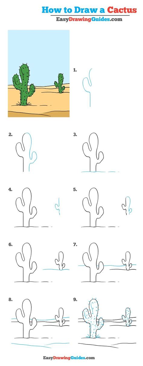 How To Draw Cactus Easy At How To Draw