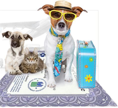 Get answers to all your pet insurance questions and get a pet insurance quote for your dog or cat instantly. American Service Pets Review - Is it Worth it? Read My ...