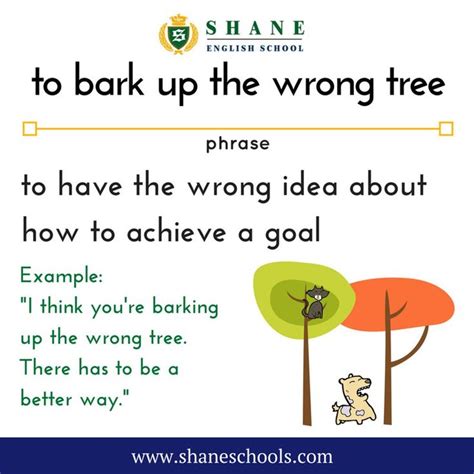 To Bark Up The Wrong Tree To Have The Wrong Idea About How To Achieve A