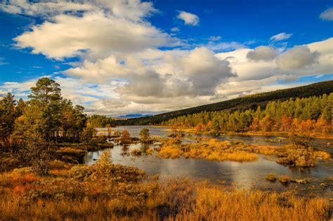 Rivière Fond Décran Hd Arrière Plan 2048x1365 Id