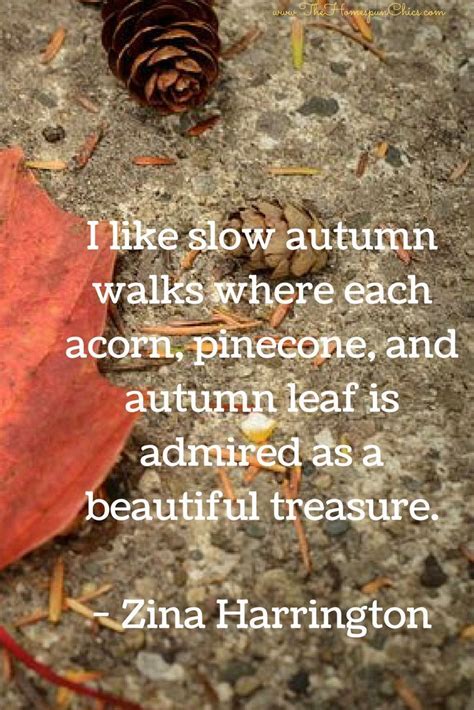 The Best Time Of The Year Fall Fun Autumn Leaves Autumn Walks