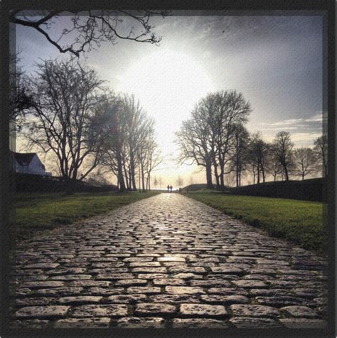Dream Path Canvas And Poster Photo Art Wall Art Something Unique