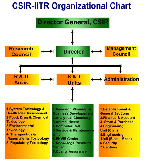 Organizational Structure Of Organization
