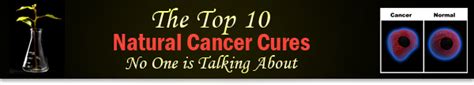 Natural Cancer Cures Top 10 Natural Cancer Cures No One Is Talking About