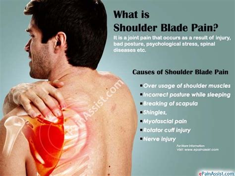 Exercises To Relieve Shoulder Blade Pain Exercisewalls