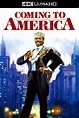Coming to America (1988) - Posters — The Movie Database (TMDB)