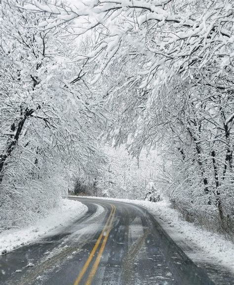 Pin By Marcy On Winter Wonderland Beautiful Tree Country Roads