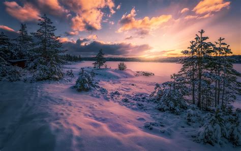 Nature Norway Winter Landscape Snow Wallpapers Hd
