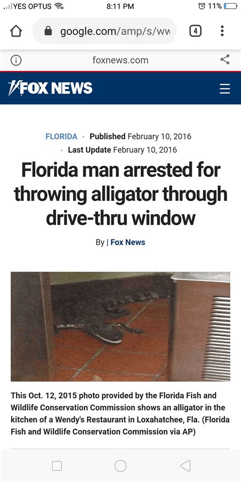 Epic Florida Man Throws Alligator Through Drive Thru Thru Window Rmadlads
