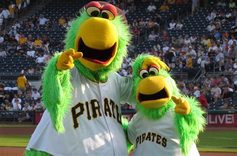 Pirates online wiki is the top information resource for pirates of the caribbean: Pirate Parrot - PIttsburgh Pirates - SportMascots.com