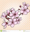 flor del cerezo dibujo - Buscar con Google Cherry Blossom Drawing ...