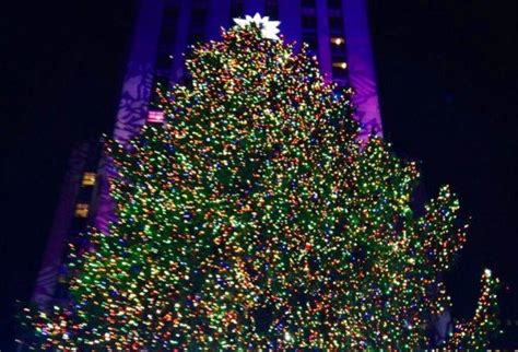 2013 Rockefeller Center Christmas Tree Lights Up The Night With 45000