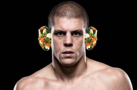 38 Best Photos Cat Got Cauliflower Ear Abe Does Bad Drawings Of Your