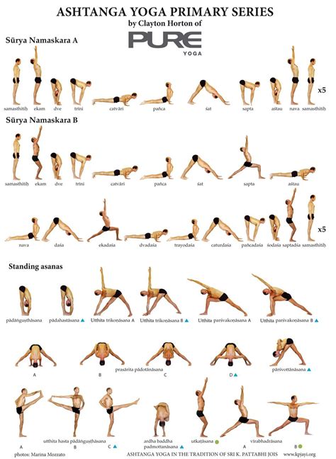 Ananda Marga Yoga Asanas Chart - Ashtanga Primary Series | Sequenze di yoga, Stili di yoga e Esercizi di