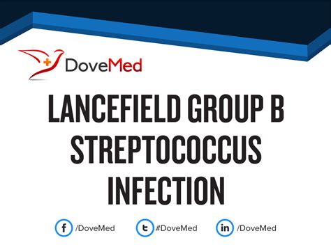 Lancefield Group B Streptococcus Infection