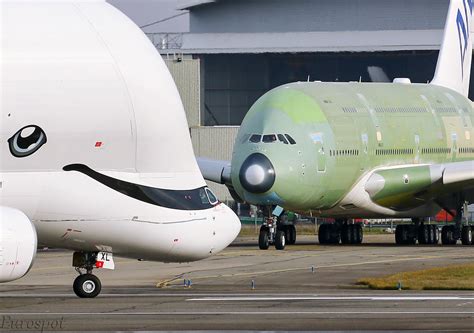 The airbus beluga is a important transportation means for the logistics of airbus. Airbus Beluga Vs A380