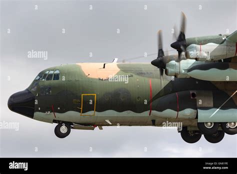 Algerian Air Force Lockheed C 130h Hercules Cargo Aircraft 7t Whe Stock