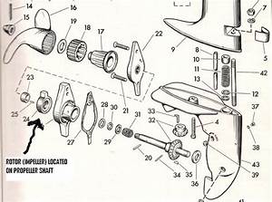 Sea King Outboard Parts Diagram