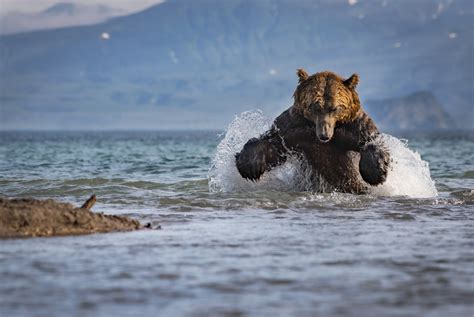 2017 National Geographic Nature Photographer Of The Year Contest The
