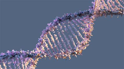 Full Human Genome Finally Mapped