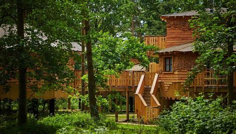 luxury treehouse holidays treehouses with hot tubs center parcs