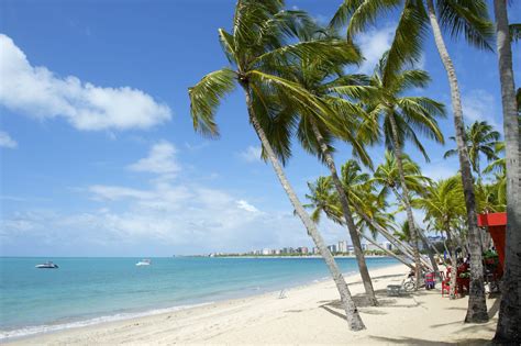 Conheça as mais belas praias do litoral de Alagoas Adventure Club