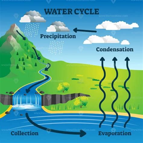 Water Cycle Diagram With Simple Rain Circulation Explanation Outline