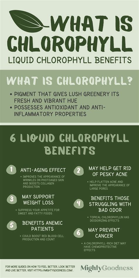 6 Amazing Liquid Chlorophyll Benefits Mighty Goodness