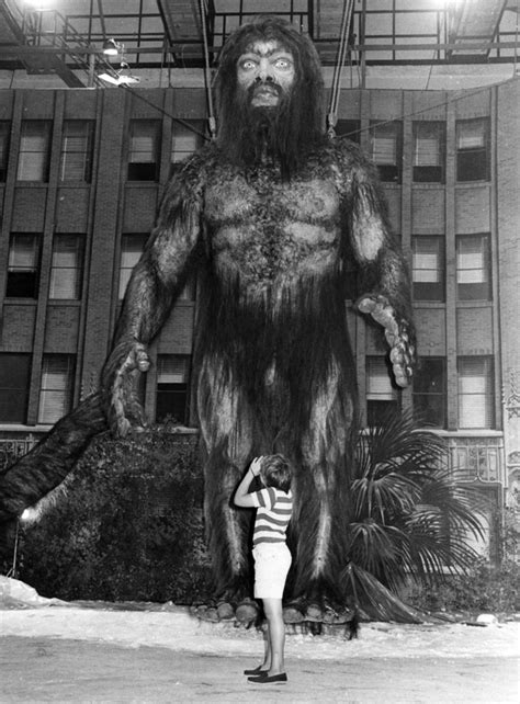 Scientists Set To Prove Bigfoot Is No Myth