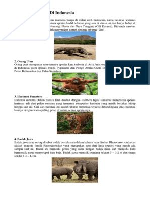 Gambar Dan Keterangan Flora Dan Fauna - AR Production