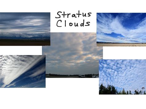 Stratus Clouds Science Clouds Showme