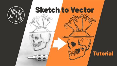 Convert Drawings Into Vector Graphics Illustrator And Procreate