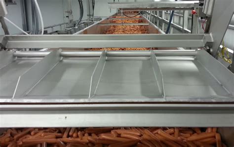 Sanitary Horizontal Motion Conveyors Food Conveyors Manufacturer