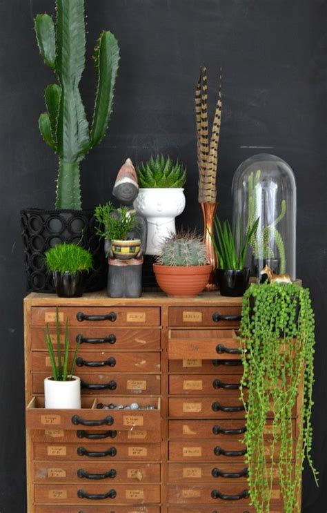 10 Ways To Work The Cactus Trend Decoholic