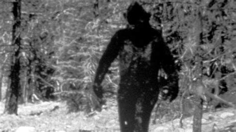 Bigfoot Hunters Flock To Washington For First International Conference