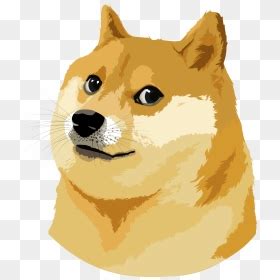 Download the free graphic resources in the form of png, eps, ai or psd. Doge Png Hd - Doge Meme Transparent, Png Download - vhv