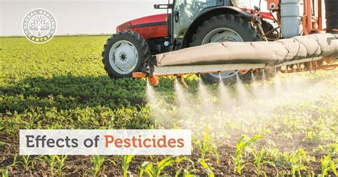 Effects Of Pesticides