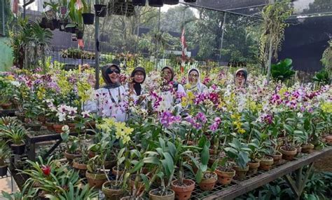 Tiket masuk taman cattleya gratis. Harga Tiket Masuk Taman Cattleya / 13 Taman Di Jakarta ...