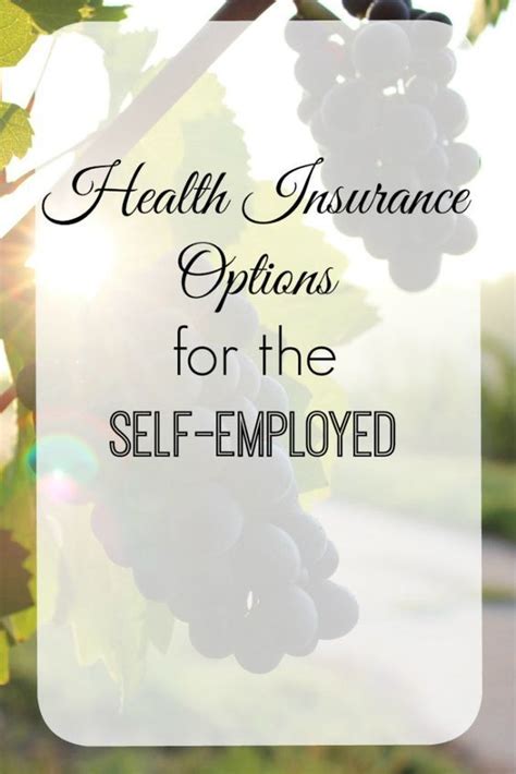 But with health insurance by your side, you can opt for quality medical care instead of settling for cheaper options. Health Insurance Options for the Self-Employed | NikkiInTheCloud.com: | Health insurance options ...