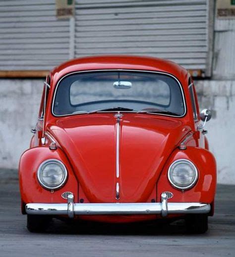12 Ladybug My Dream Car Ideas Volkswagen Beetle Vw Beetles Vw Bug