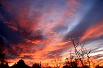 Brilliant Sunrise Picture | Free Photograph | Photos Public Domain