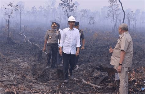 FOTO Jokowi Blusukan Asap Minta Tindak Tegas Pembakar Hutan