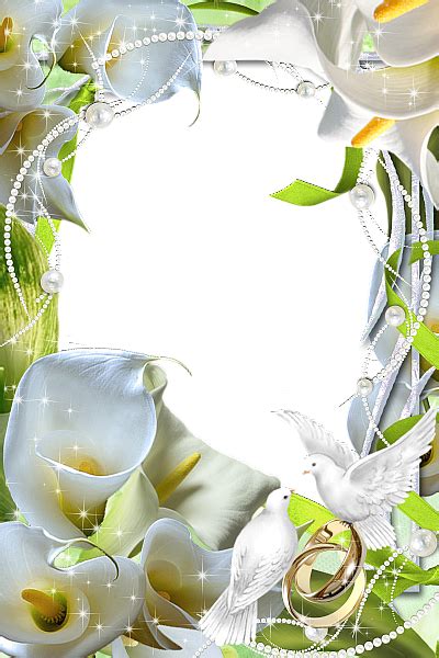 + give different effects and design professionals to your photo. Beautiful Flowers Wedding Transparent Frame | Gallery ...