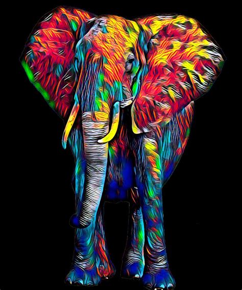 Colorful Elephant Design