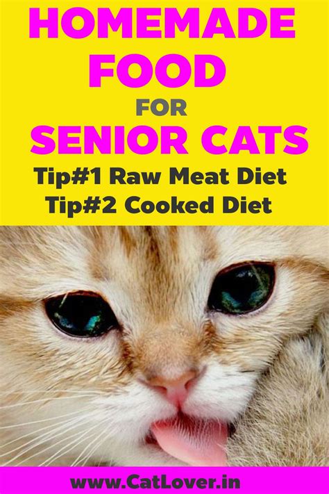 Should you get one with higher protein? Homemade Food For Senior Cats , Homemade Cats Food Recipe ...