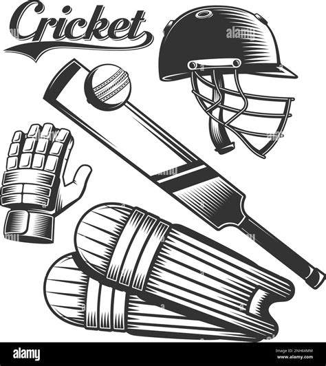 Cricket Kit Stock Vector Images Alamy