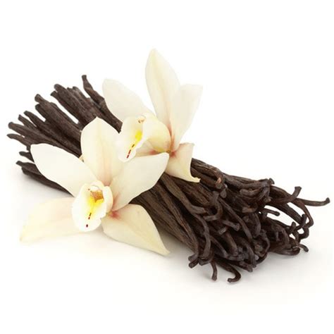 Premium Madagascar Vanilla Lip Flavoring Oil | Vijay Impex