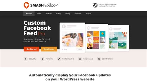 Custom Facebook Feed Pro 4.2.3 WordPress Plugin latest version download